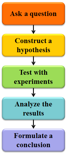 the-seven-steps-for-the-scientific-method-and-the-appropriate-research