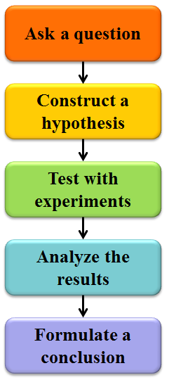 What Is The Four Steps Of The Scientific Method